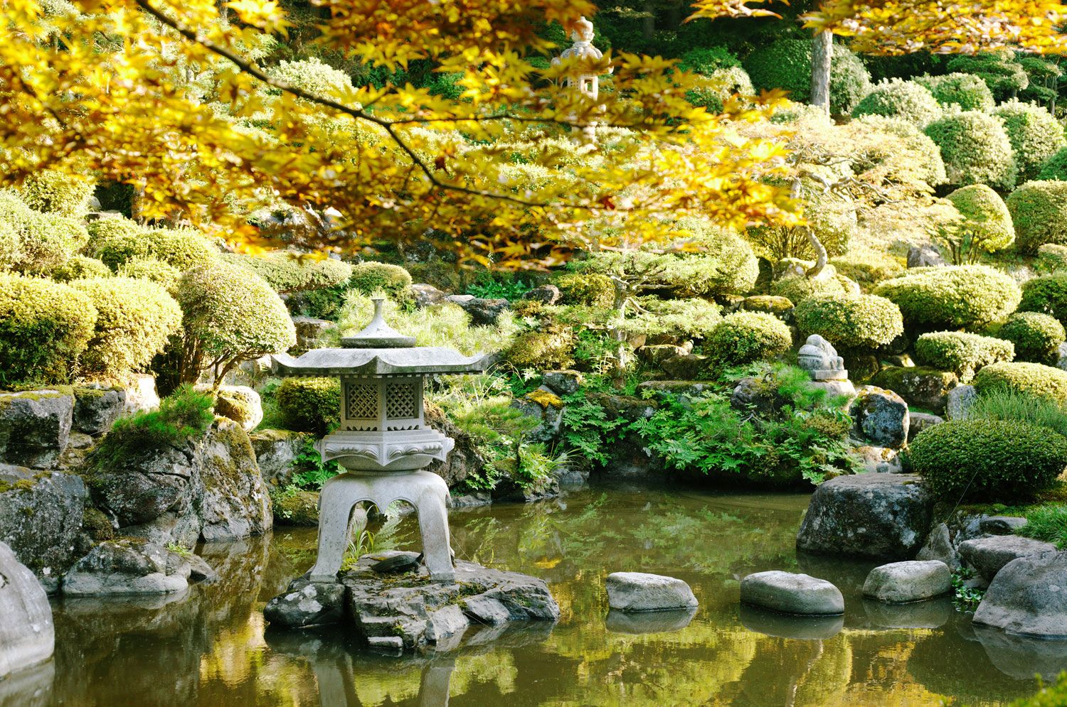 Garden Installation Garden Installation